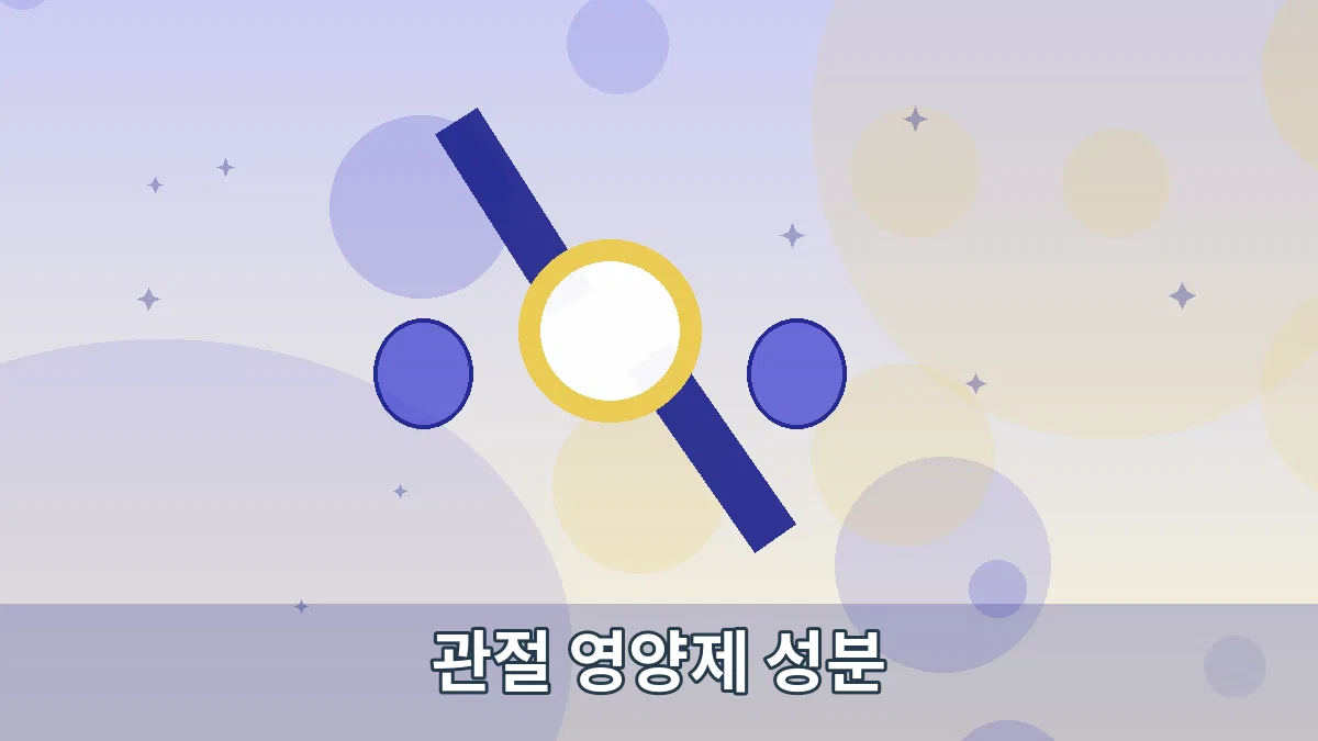 관절 영양제 성분 안내 이미지
