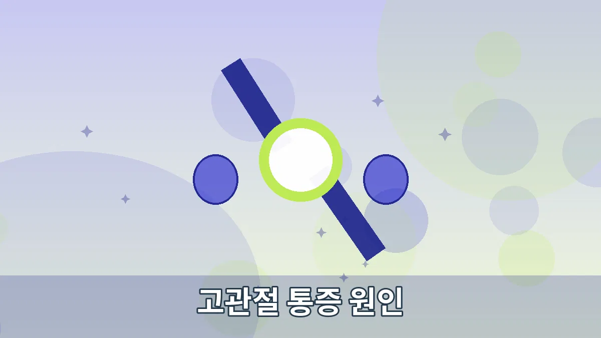 고관절 통증 원인 안내 이미지 4